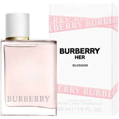 shoppers drug mart my burberry blush|Shoppers Drug Mart.